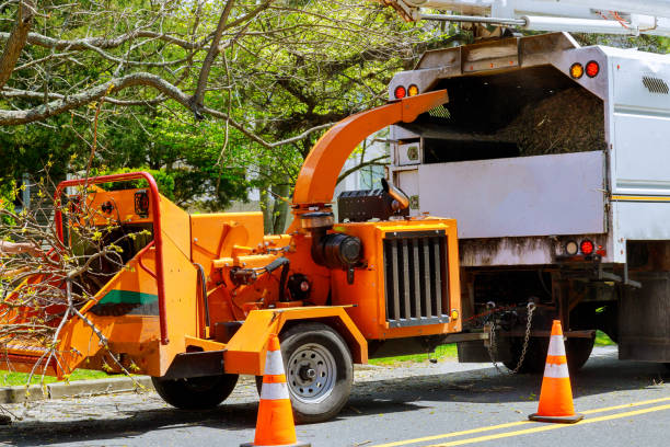 Best Hazardous Tree Removal  in Monteagle, TN